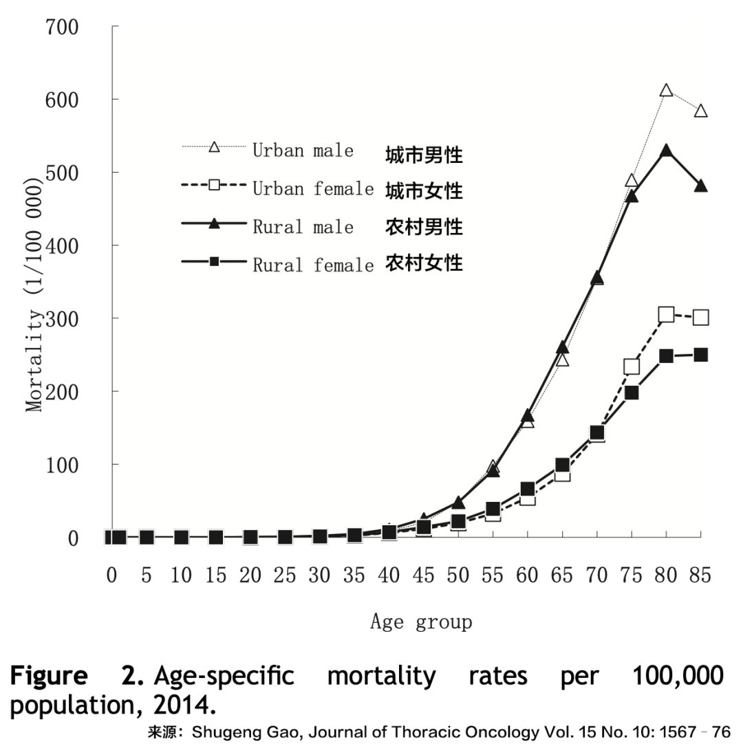 欧洲杯盘口突变，业内人士深度分析