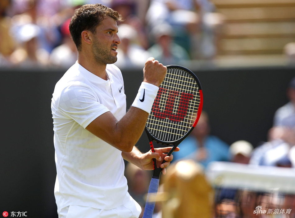 温网轻取戴维斯杯，蒂姆带队取胜