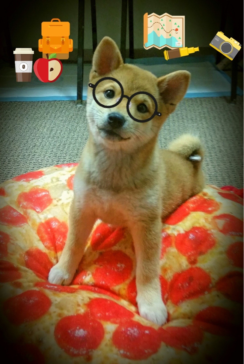 教科书级手术刀！克莱用四两拨千斤的智慧，照亮意甲焦点之夜