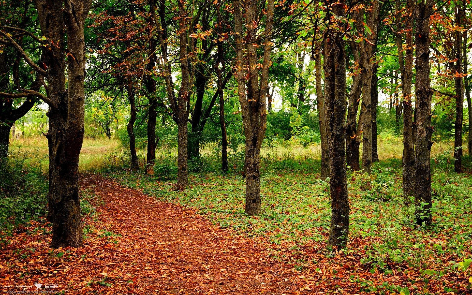 火力全开!76人压制老鹰,文班亚马关键封盖定乾坤