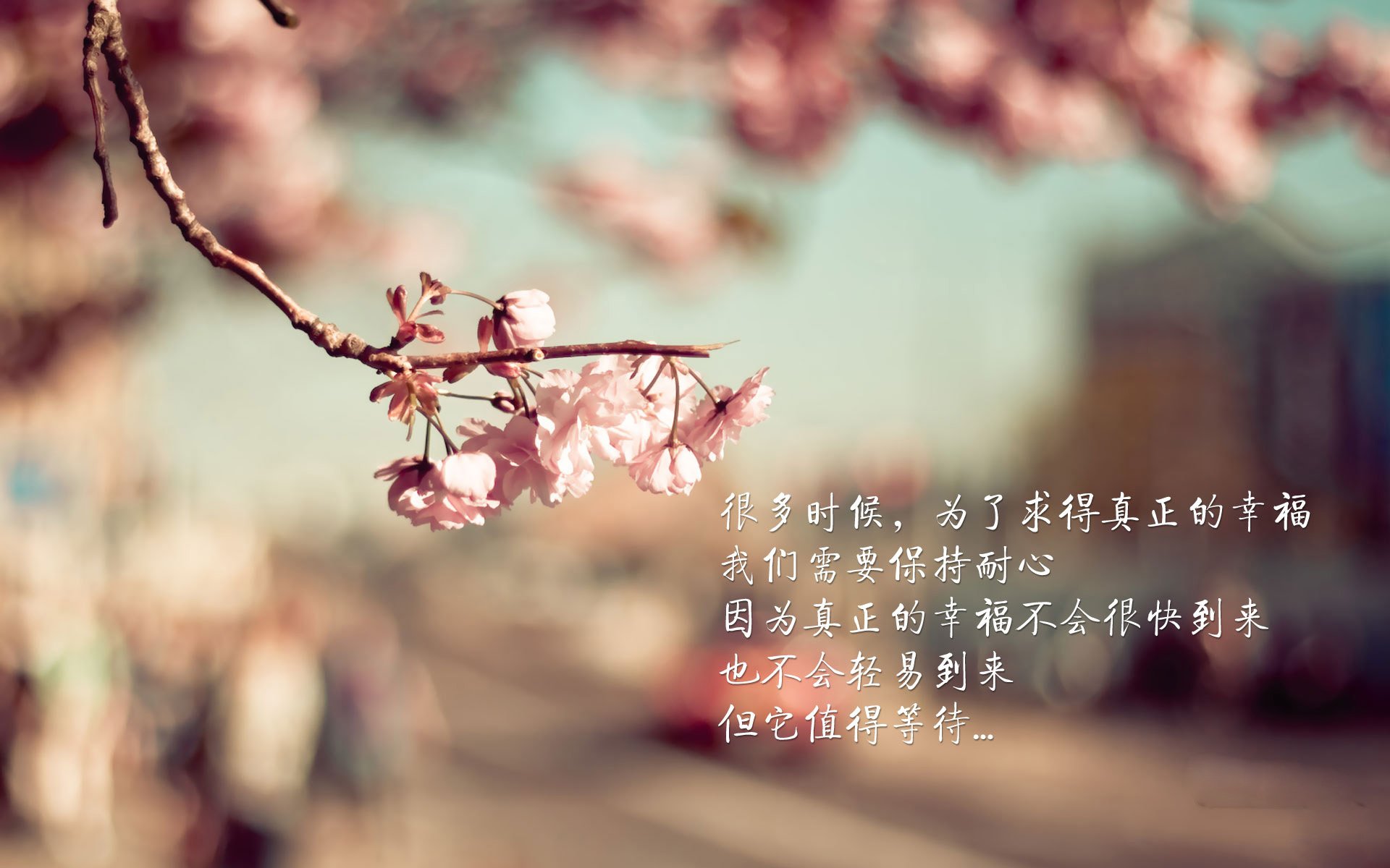 跨界巅峰之战！广厦铁血防守横扫步行者，西亚卡姆末节封神定乾坤