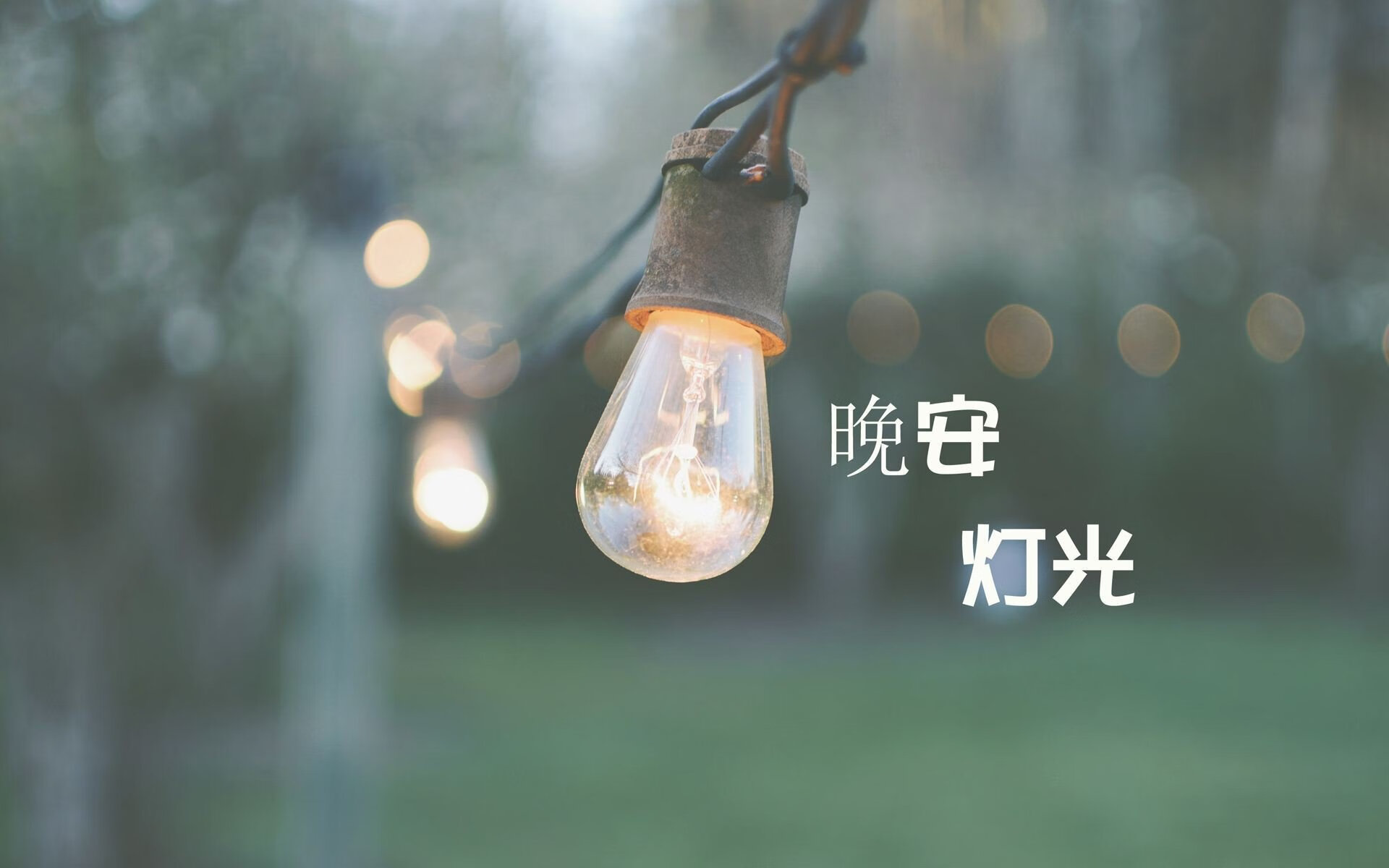 枢纽与罗网，莱万孤星闪耀，墨西哥以整体之网锁定胜局