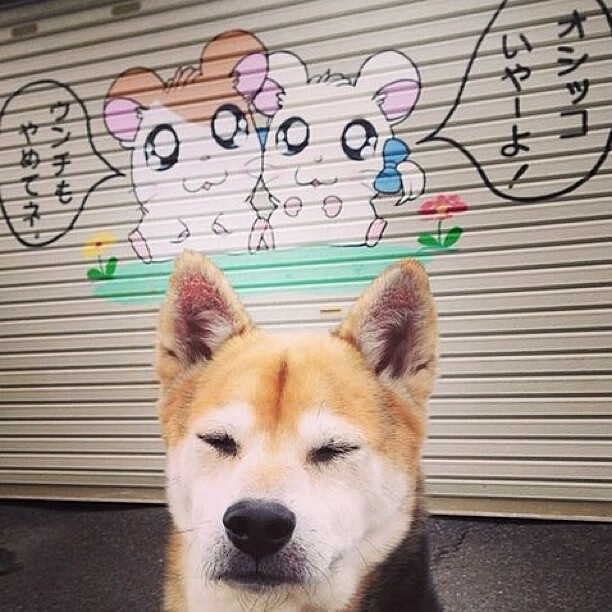 烈焰与冰封，湖人火力压制新疆队，字母哥撕裂防线成关键先生