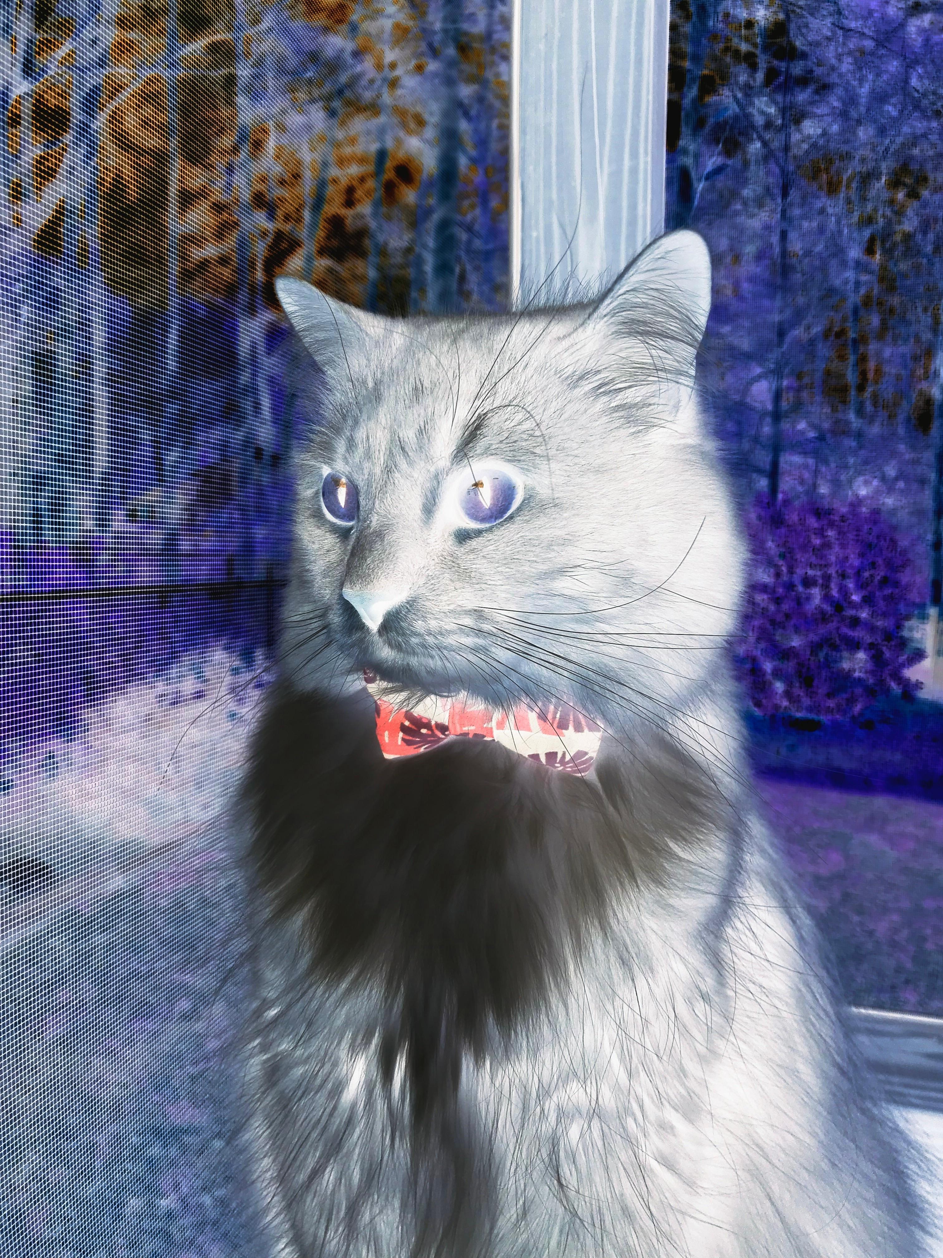 开云体育APP下载-从数据刷到胜负手，浓眉如何成为步行者压制老鹰的战术密钥？