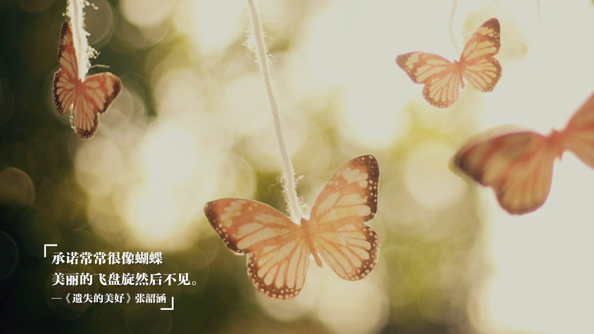 绿茵暗战,当委内瑞拉鏖战伊拉克,唯有努涅斯在风暴眼中起舞