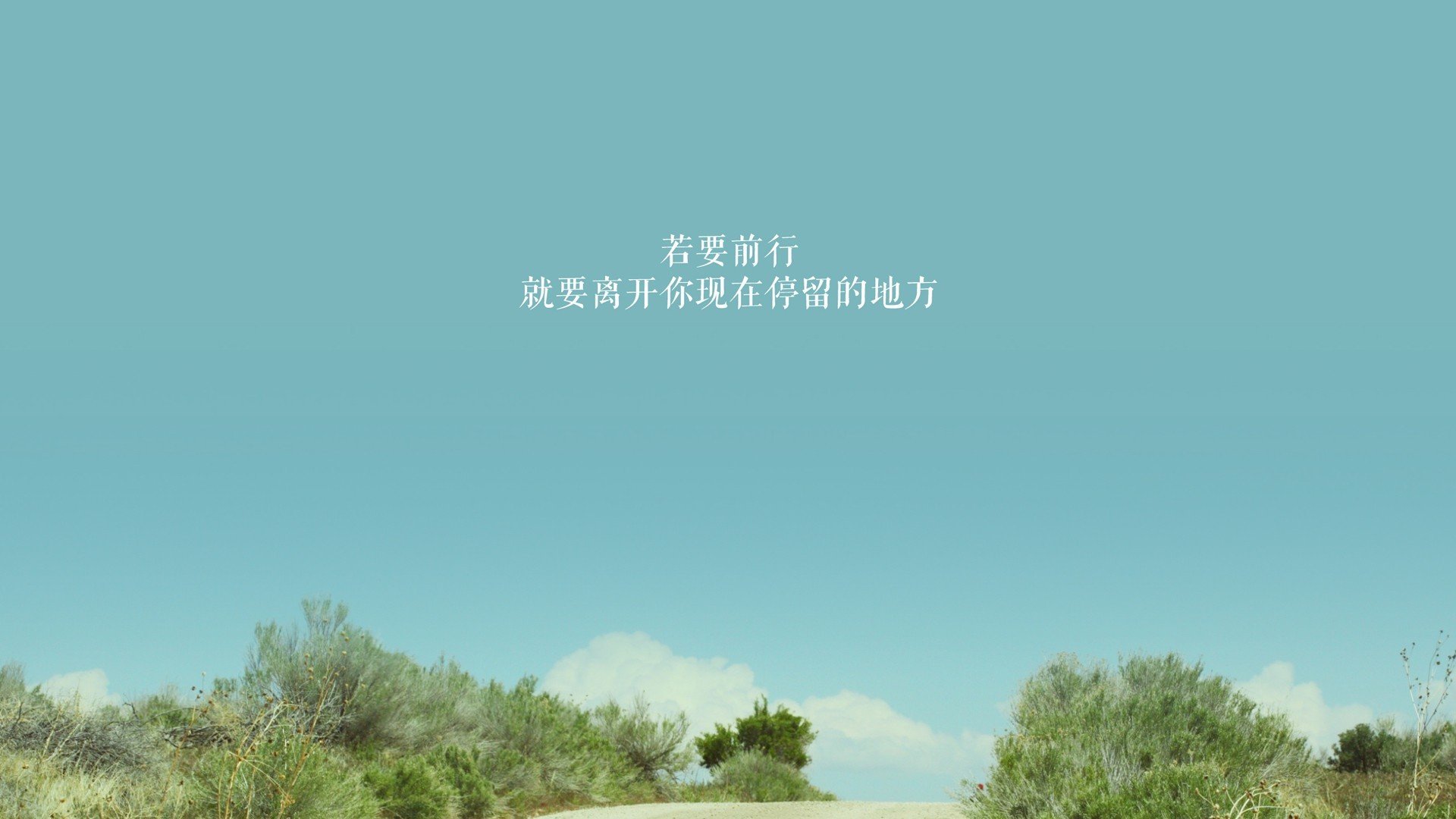 血脉与战术的双重博弈，2026世界杯B组焦点战，加维的加纳之魂与日本的无情压制