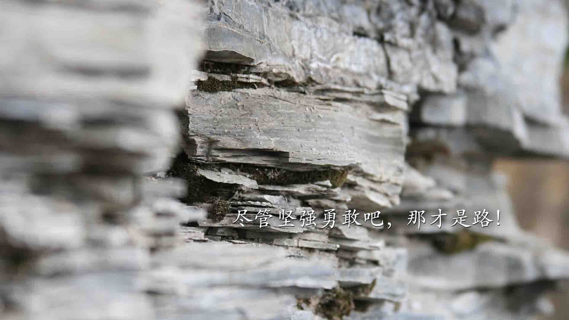 冰与火的葬歌，当奥斯梅恩的熔岩，吞噬了瑞典的永冻防线—2026世界杯A组秩序重构唯一战记
